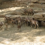 img_0078
