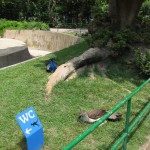img_0081