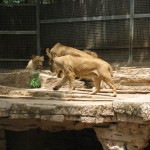 img_0167