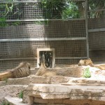 img_0170