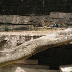 img_0171