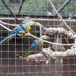 img_0209