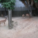 img_0217