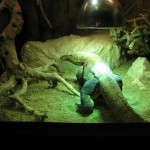 img_0281