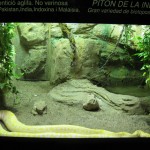 img_0291