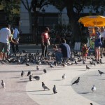 img_0812