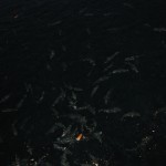 img_0842