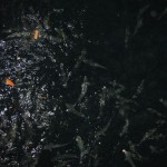 img_0843