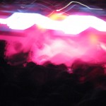 img_4716