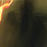 img_5511 img_5511