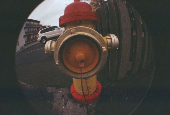 Fisheye brunahani