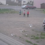 IMG_6734 IMG_6734