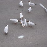 IMG_6773 IMG_6773