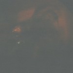Photo17_13A