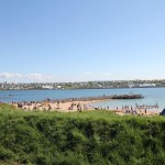 IMG_0659