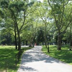 Central Park Central Park