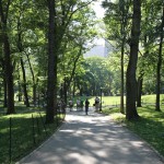 IMG_2277 IMG_2277