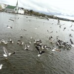 20110515-093338.jpg