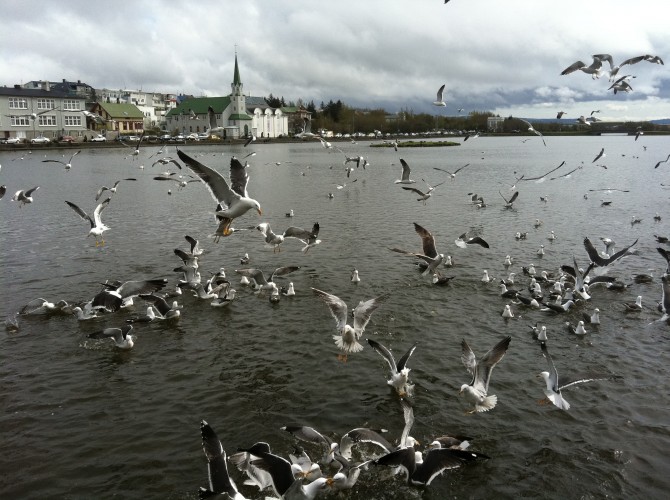 20110515-093353.jpg